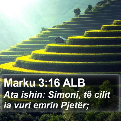 Marku 3:16 ALB Bible Verse Image
