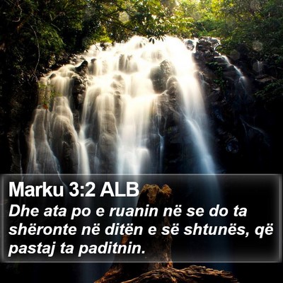 Marku 3:2 ALB Bible Verse Image