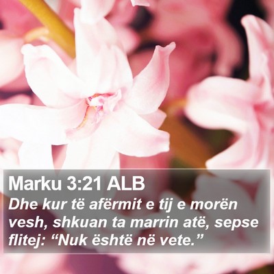 Marku 3:21 ALB Bible Verse Image