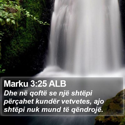 Marku 3:25 ALB Bible Verse Image