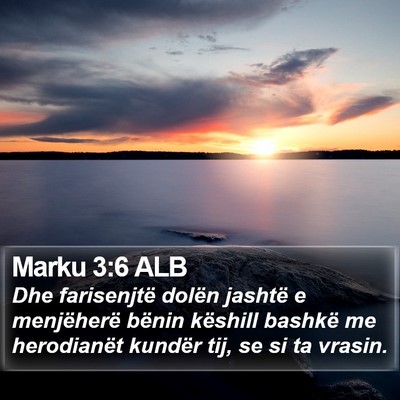 Marku 3:6 ALB Bible Verse Image