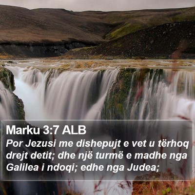 Marku 3:7 ALB Bible Verse Image