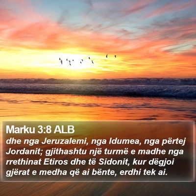 Marku 3:8 ALB Bible Verse Image