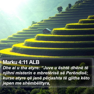 Marku 4:11 ALB Bible Verse Image