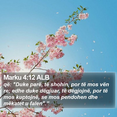 Marku 4:12 ALB Bible Verse Image