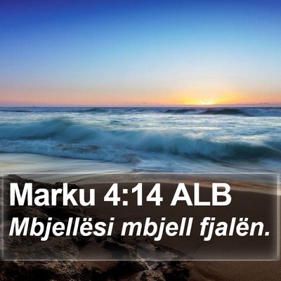 Marku 4:14 ALB Bible Verse Image