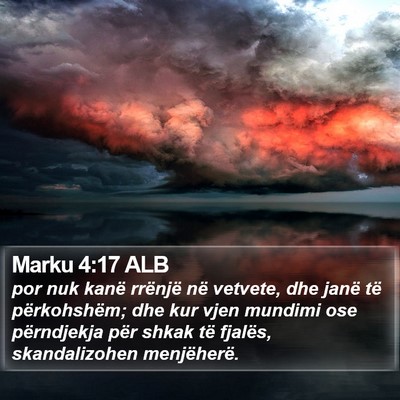 Marku 4:17 ALB Bible Verse Image