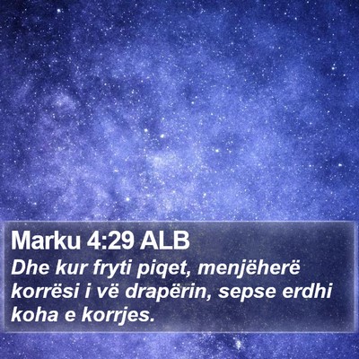 Marku 4:29 ALB Bible Verse Image