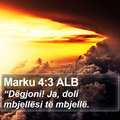 Marku 4:3 ALB Bible Verse Image