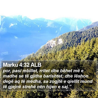 Marku 4:32 ALB Bible Verse Image