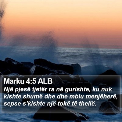 Marku 4:5 ALB Bible Verse Image