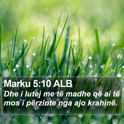 Marku 5:10 ALB Bible Verse Image