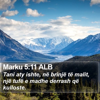 Marku 5:11 ALB Bible Verse Image