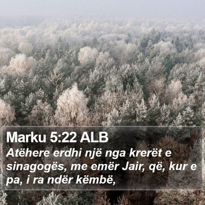 Marku 5:22 ALB Bible Verse Image