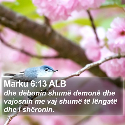 Marku 6:13 ALB Bible Verse Image