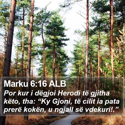 Marku 6:16 ALB Bible Verse Image