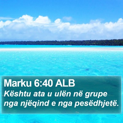 Marku 6:40 ALB Bible Verse Image