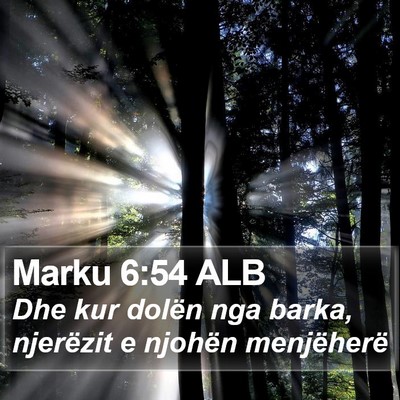 Marku 6:54 ALB Bible Verse Image