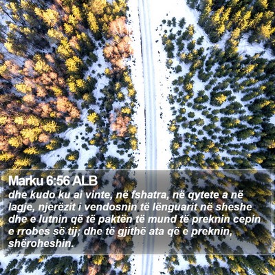 Marku 6:56 ALB Bible Verse Image