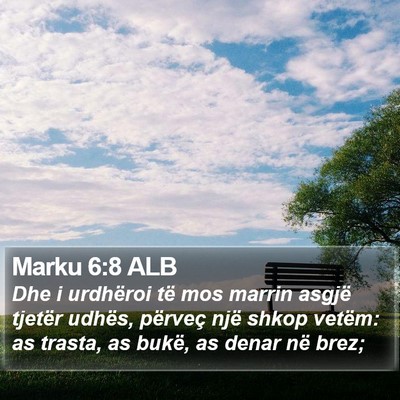 Marku 6:8 ALB Bible Verse Image