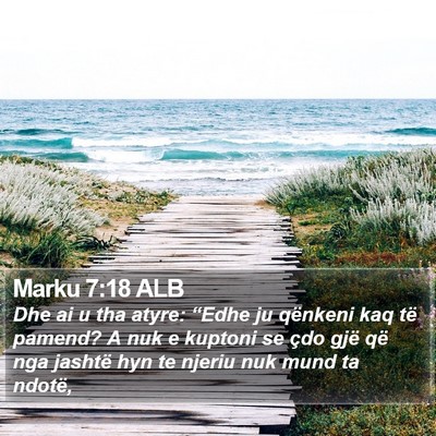 Marku 7:18 ALB Bible Verse Image