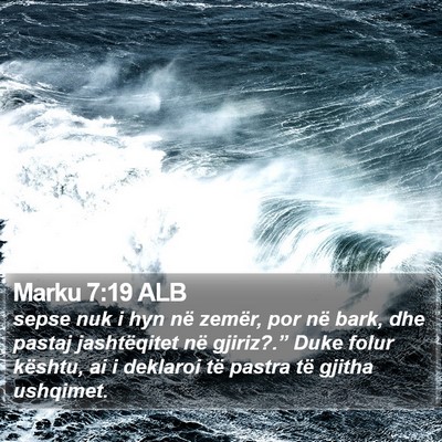 Marku 7:19 ALB Bible Verse Image