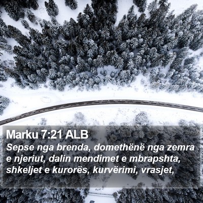 Marku 7:21 ALB Bible Verse Image