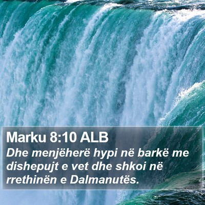 Marku 8:10 ALB Bible Verse Image