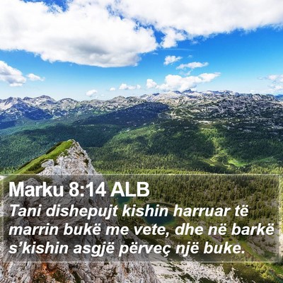 Marku 8:14 ALB Bible Verse Image