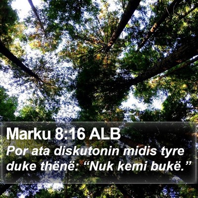 Marku 8:16 ALB Bible Verse Image
