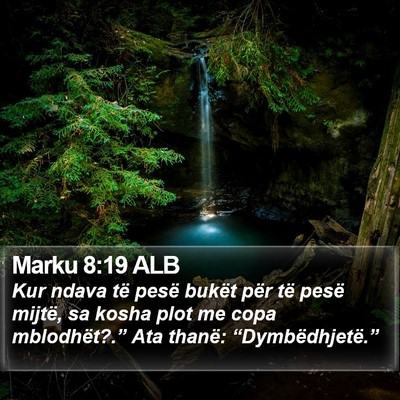 Marku 8:19 ALB Bible Verse Image