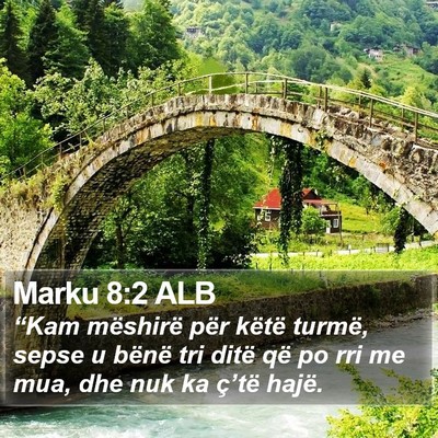 Marku 8:2 ALB Bible Verse Image