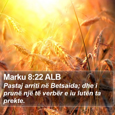 Marku 8:22 ALB Bible Verse Image