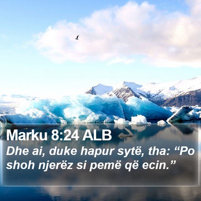 Marku 8:24 ALB Bible Verse Image
