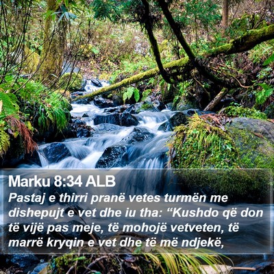 Marku 8:34 ALB Bible Verse Image
