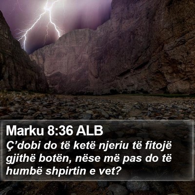 Marku 8:36 ALB Bible Verse Image