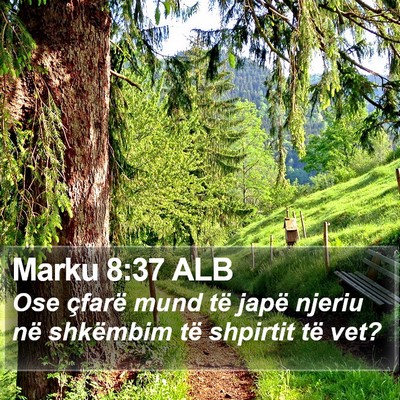 Marku 8:37 ALB Bible Verse Image