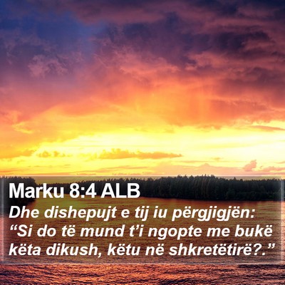 Marku 8:4 ALB Bible Verse Image