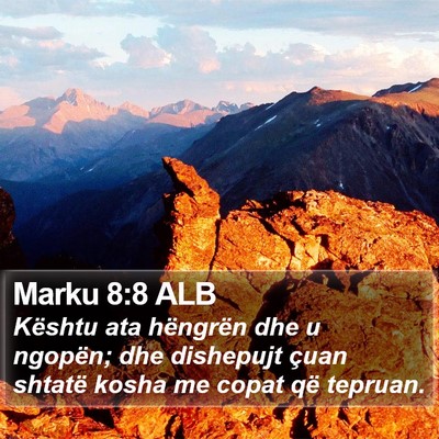 Marku 8:8 ALB Bible Verse Image