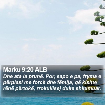Marku 9:20 ALB Bible Verse Image