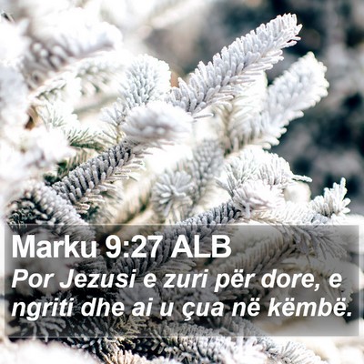 Marku 9:27 ALB Bible Verse Image