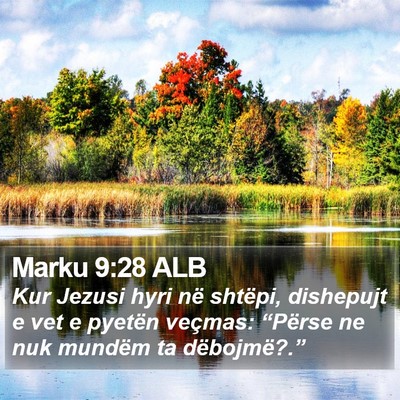 Marku 9:28 ALB Bible Verse Image