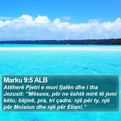 Marku 9:5 ALB Bible Verse Image