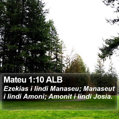 Mateu 1:10 ALB Bible Verse Image