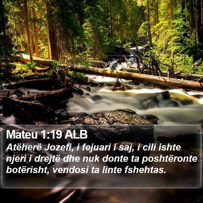 Mateu 1:19 ALB Bible Verse Image