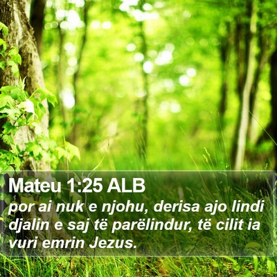 Mateu 1:25 ALB Bible Verse Image