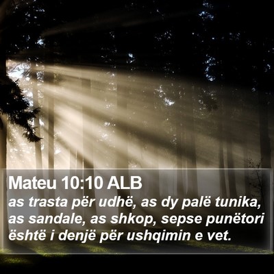 Mateu 10:10 ALB Bible Verse Image