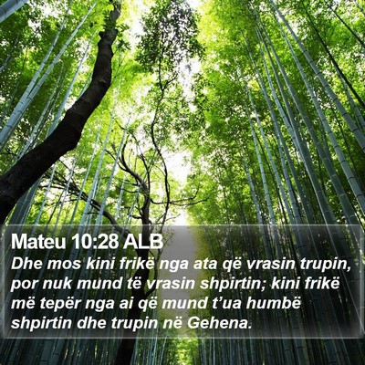 Mateu 10:28 ALB Bible Verse Image