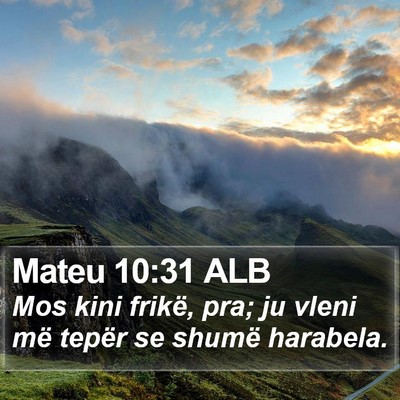 Mateu 10:31 ALB Bible Verse Image