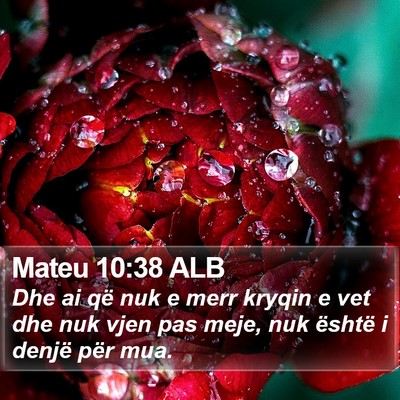 Mateu 10:38 ALB Bible Verse Image
